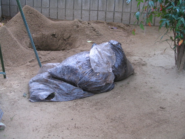 IMG_0007　　　　2年前の桃・柿の腐葉土堆肥です。シマミミズがウジャ・ウジャです。